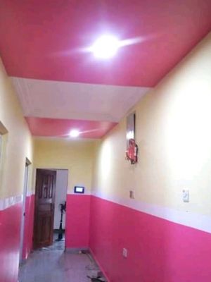 Sammylight Paint and building 