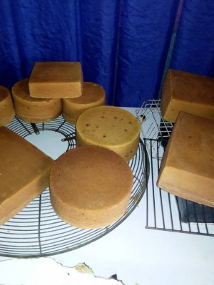 Event management/planning 